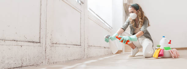 Mold Remediation for Rental Properties in Camp Springs, MD